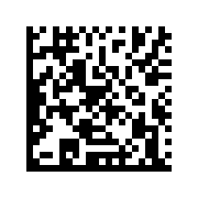 GS1 DataMatrix with the GTIN (01) 09506000134352, the expiry date (17) 271231, the batch (10) LOT42 and the serial number (21) SN1001.