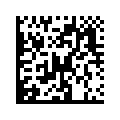 Data Matrix code holding the same GS1 Digital Link https://id.gs1.org/01/09506000134352.