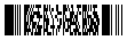 PDF417 barcode for Barcode.codes with automatic columns, rows and error correction.