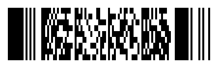 PDF417 stacked barcode holding the text barcode.codes.