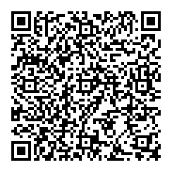 vCard QR code for the example contact Alex Morgan, Sales Manager at Example Co., with a phone number and an email address.